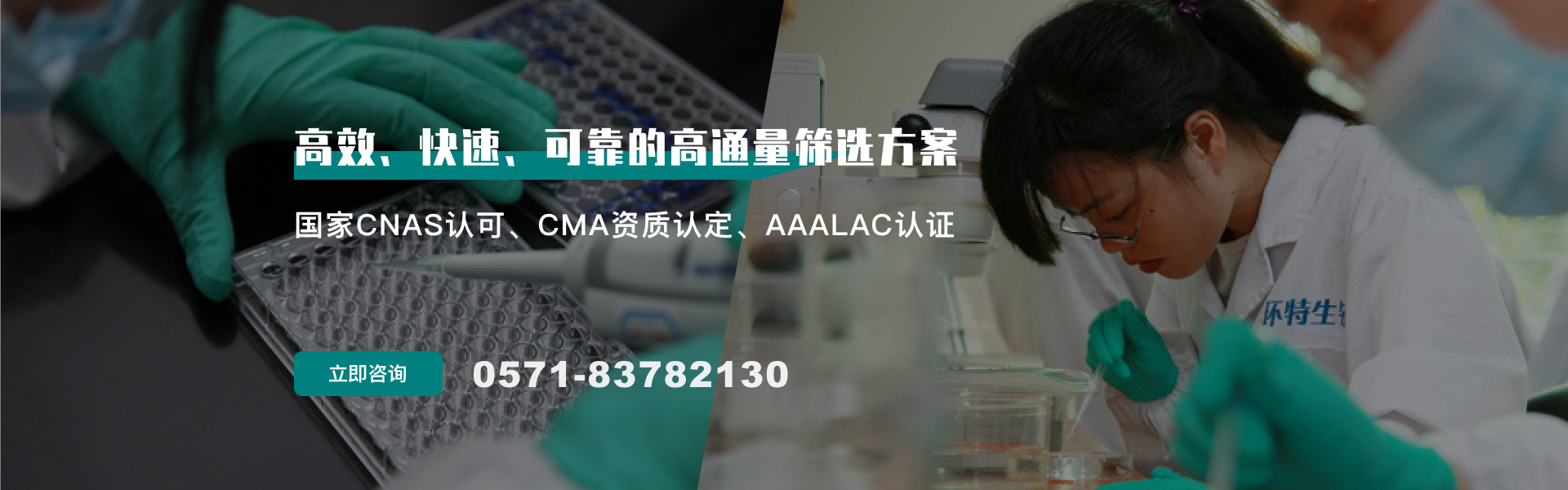 高通量筛选