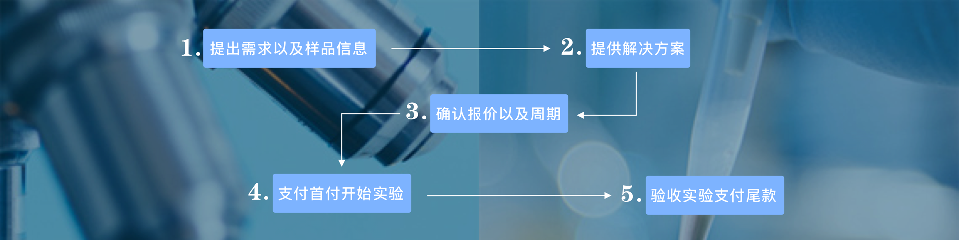 高通量筛选服务流程