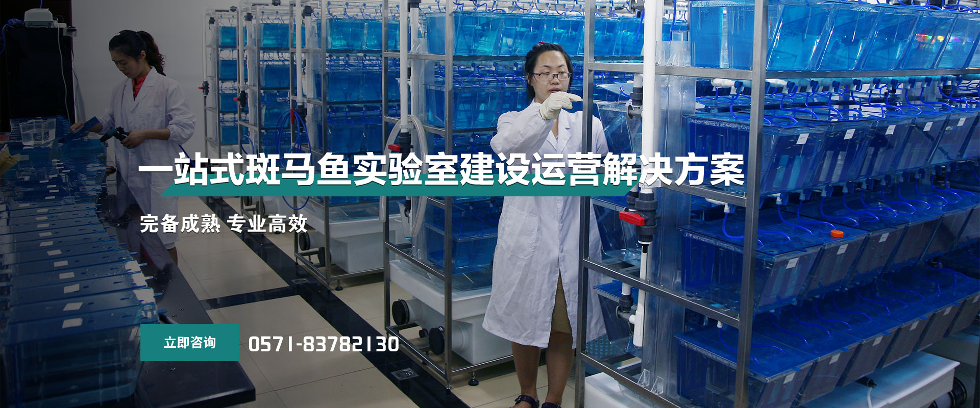 一站式斑马鱼实验室建设运营解决方案
