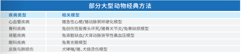 部分大型动物实验评价方法