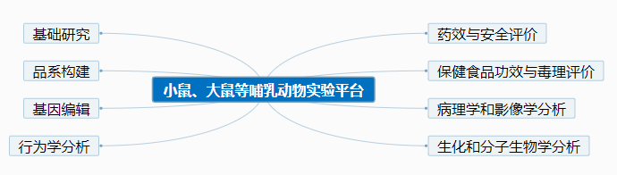 小鼠大鼠等实验动物平台