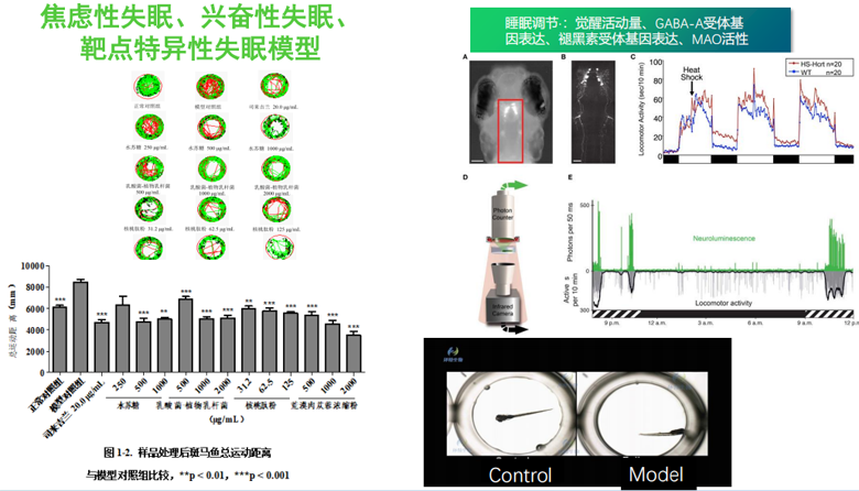 益生菌发酵原料缓解焦虑与调节睡眠功效比较