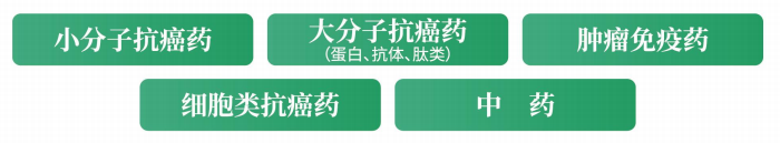 肿瘤类器官和人免疫重建斑马鱼应用