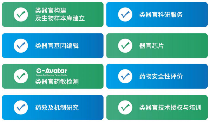类器官技术服务项目