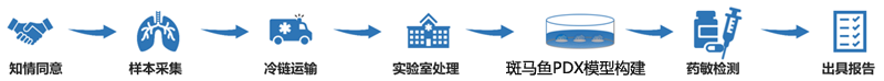 斑马鱼pdx服务合作流程