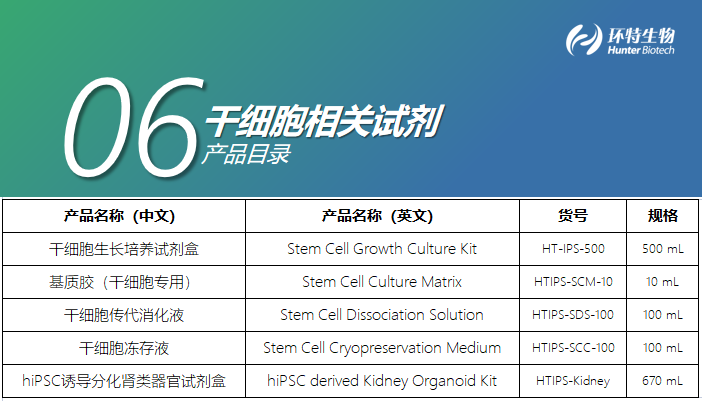 干细胞相关试剂