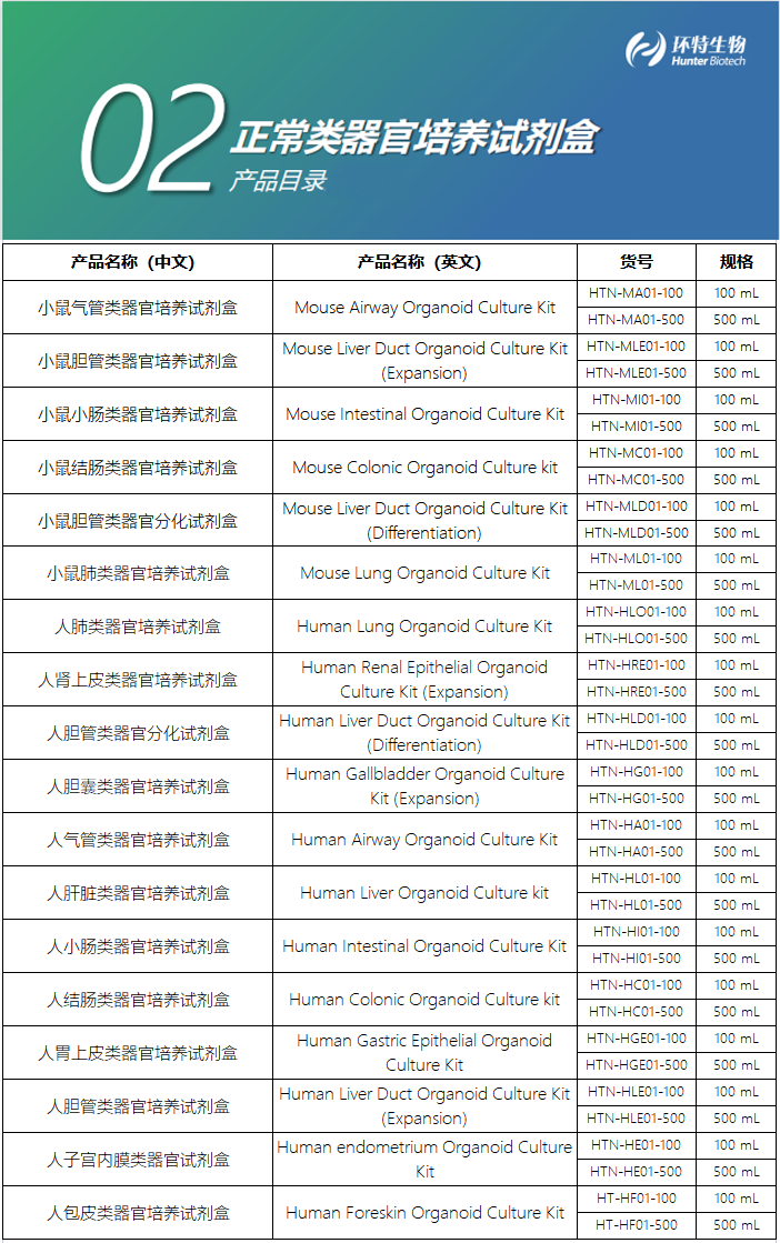 正常类器官培养试剂盒