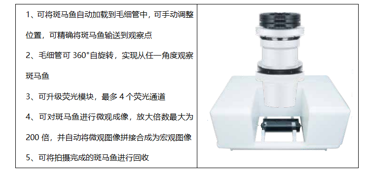 斑马鱼专用成像系统