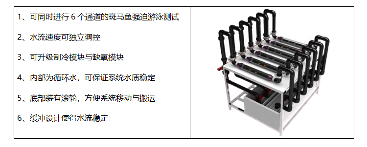 斑马鱼强迫游泳装置