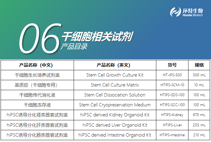 6干细胞相关试剂