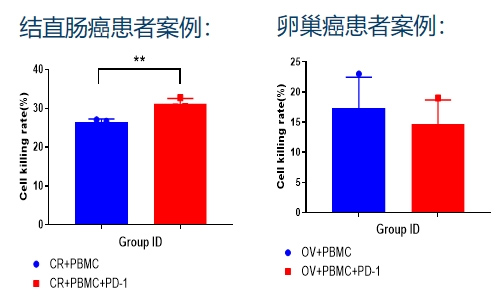 小鼠PDX模型肿瘤免疫研究