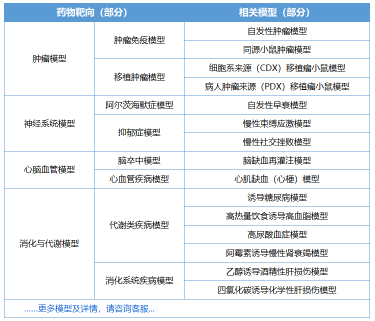 大小鼠模型评价药物功效