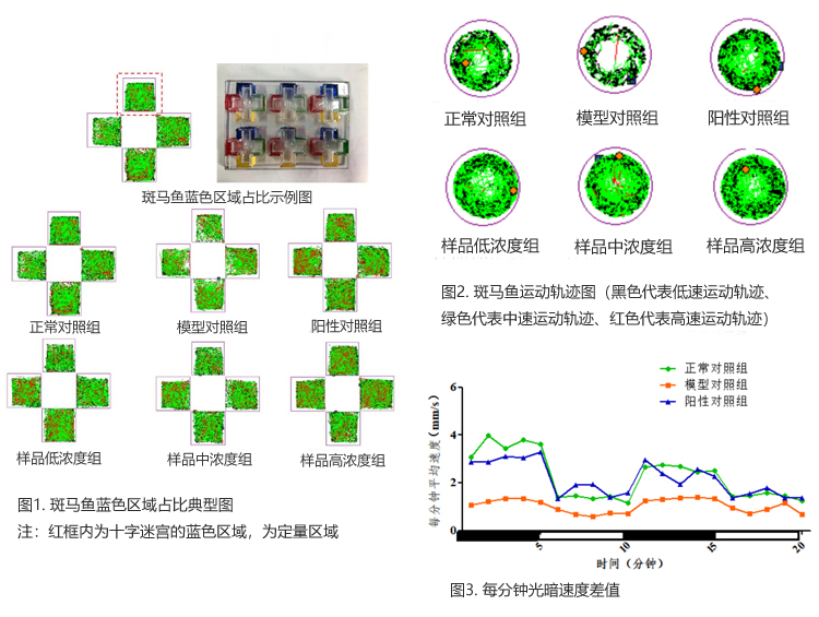 1斑马鱼行为学分析部分实验结果展示