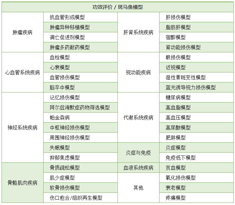 功效评价模型