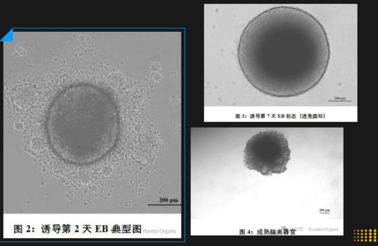 F9AD5250-1A96-43df-A4C4-363ECAD79421.png