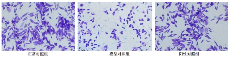 图片 13.jpg