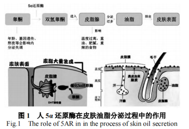 图片 3.png
