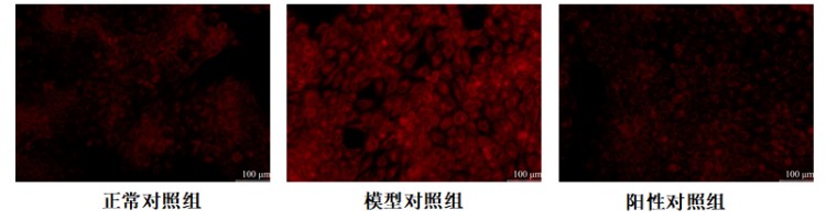 图片 9.jpg
