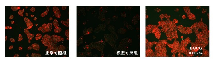 图片 3.jpg
