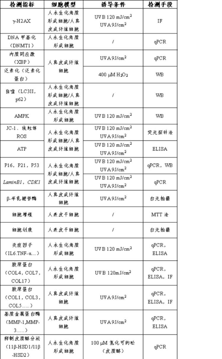表1(9).png