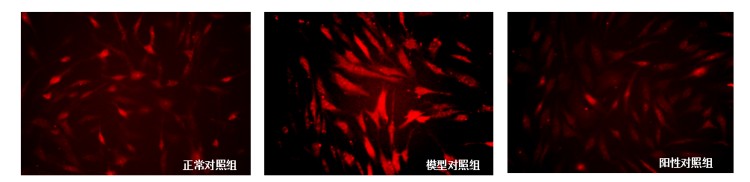图片 6.jpg