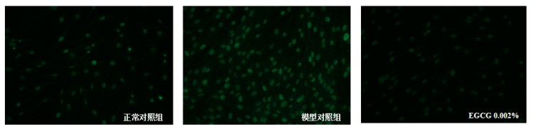 图片 7.jpg