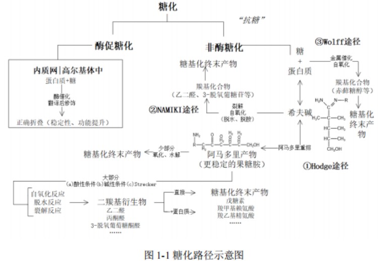 图片 1.jpg