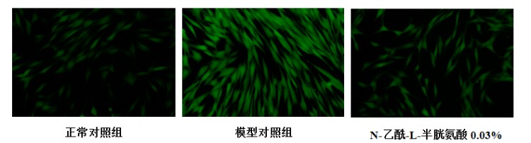 图片 4.jpg