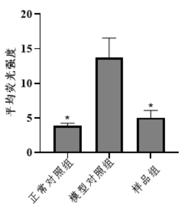图片 2.png