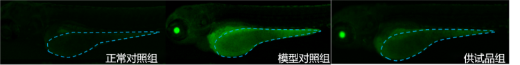 图片 1.png
