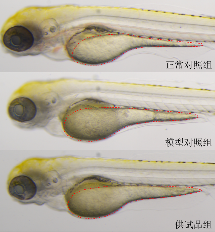 图片 1.png