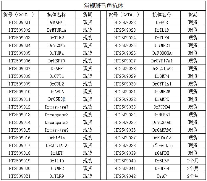 常规斑马鱼抗体.jpg