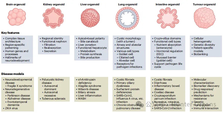 1765360678157643.jpg 2.jpg