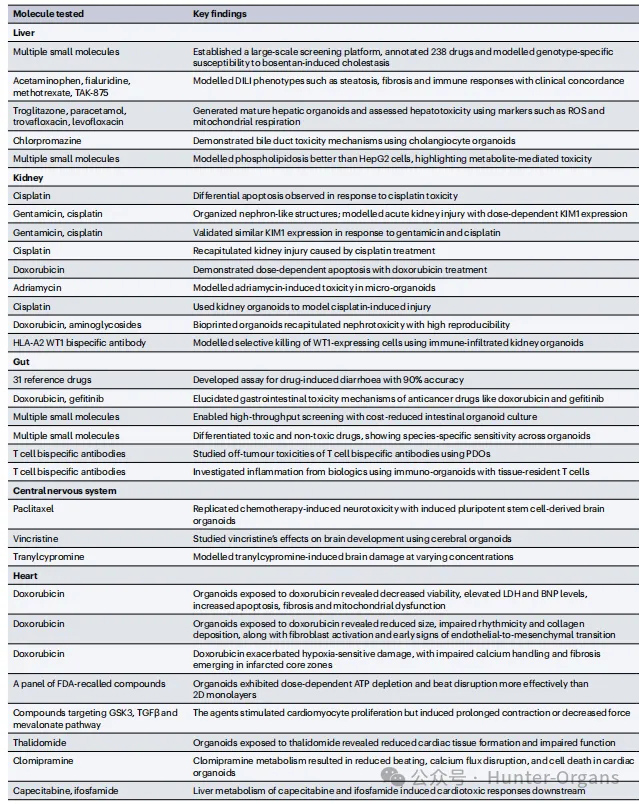 1765360686149279.jpg 3.jpg