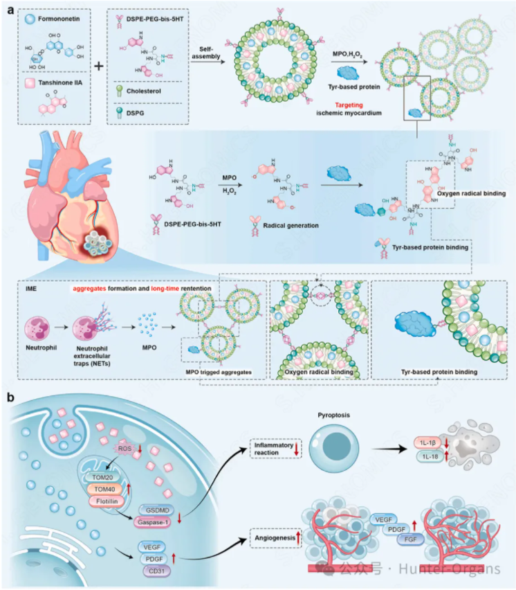 1765792303205983.png 0-1.png