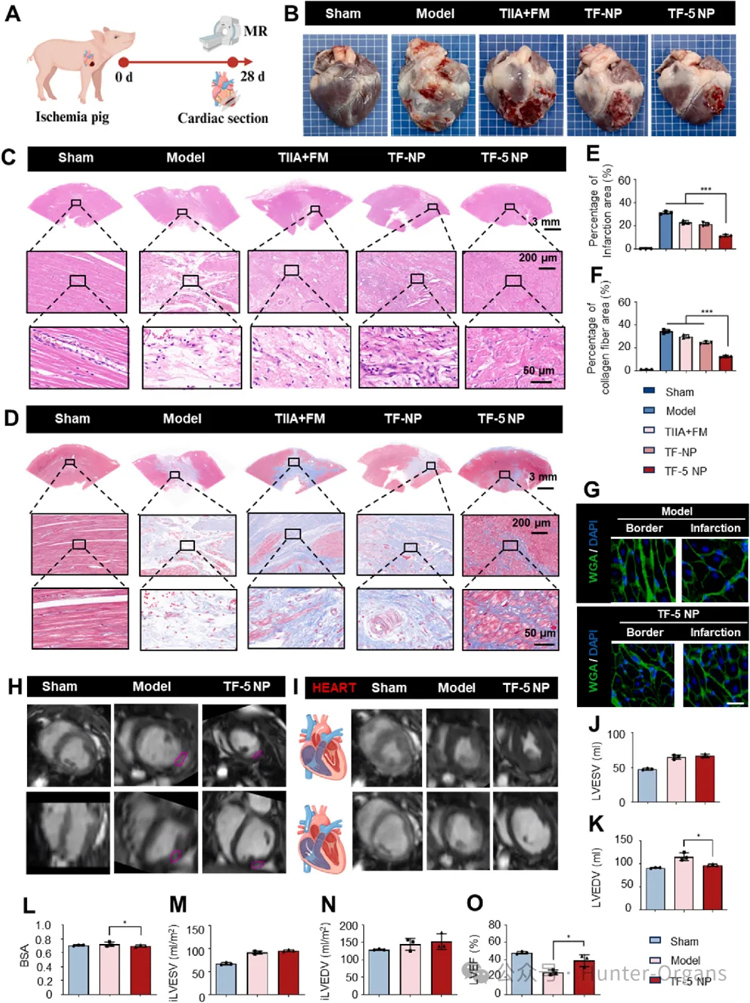 1765792314106141.jpg 6.jpg