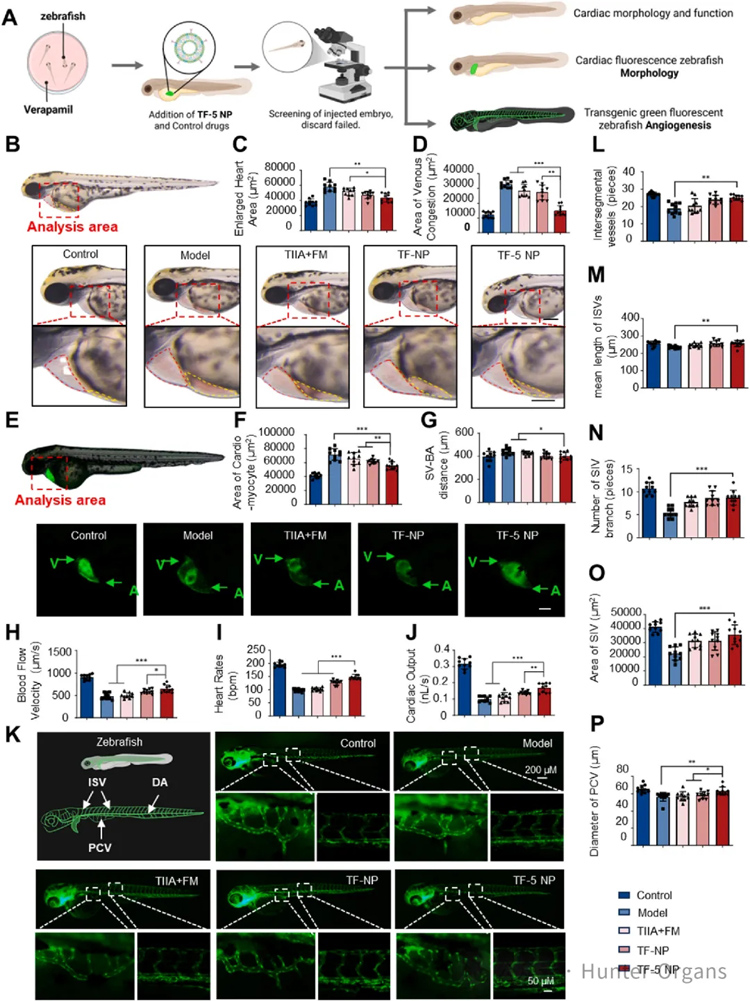 1765792322120552.jpg 4.jpg