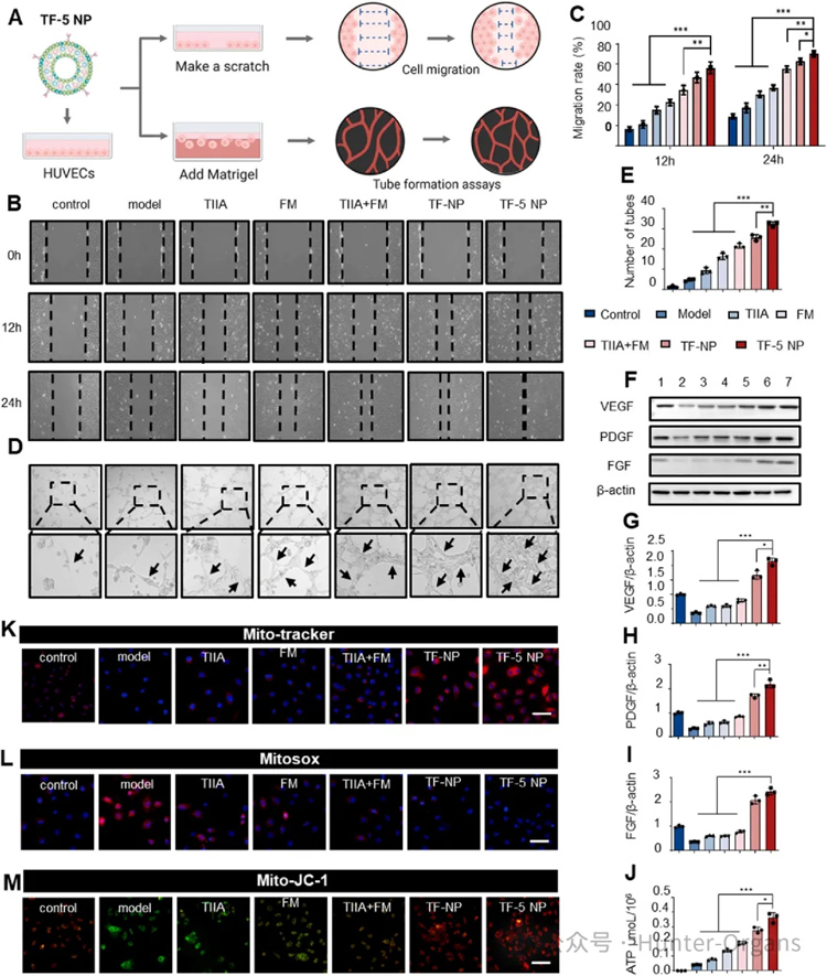 1765792326159869.jpg 3.jpg