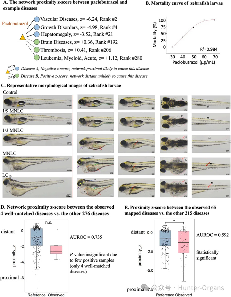 1768292903187526.jpg 2.jpg