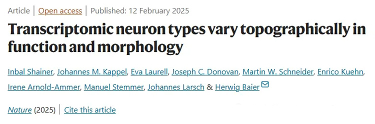 1770085704722359.jpg 1.jpg