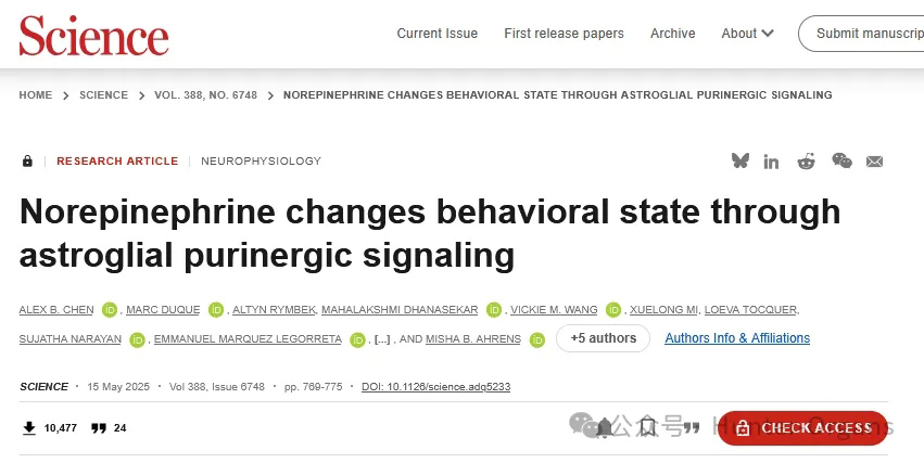 1770085712462292.jpg 3.jpg