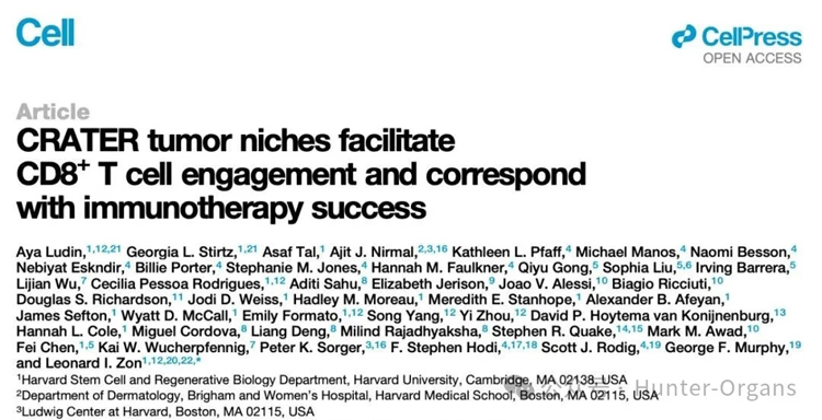 1770085722859940.jpg 5.jpg