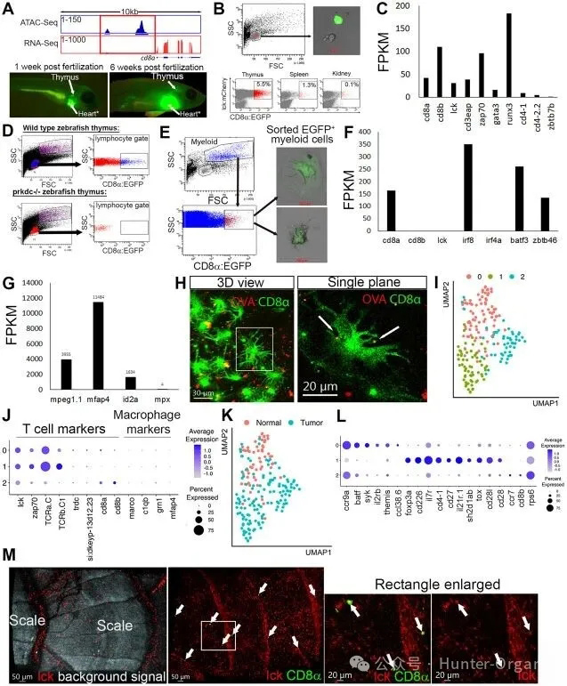 1770085726173466.jpg 6.jpg