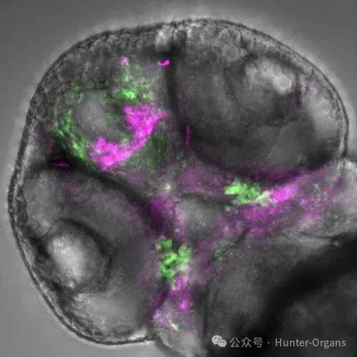 1770085736123140.jpg 8.jpg