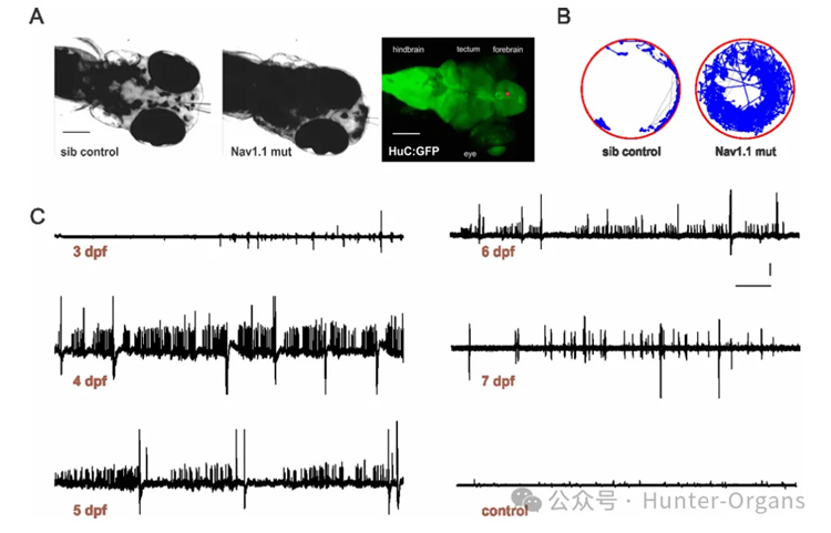 1772245866155298.jpg 8.jpg