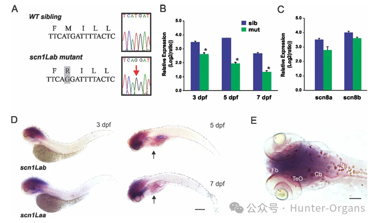 1772245869135471.jpg 7.jpg