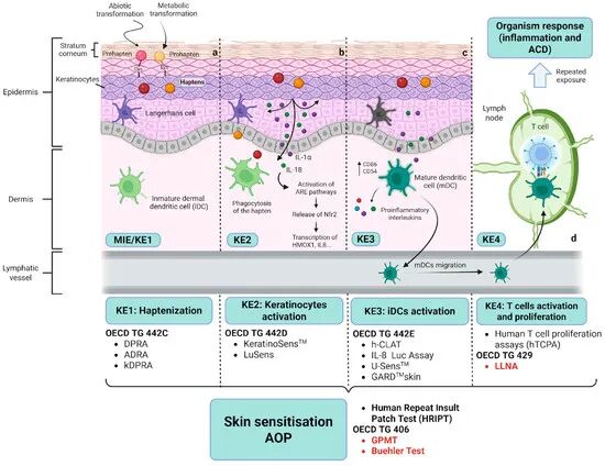 1774939661133619.jpg 9.jpg