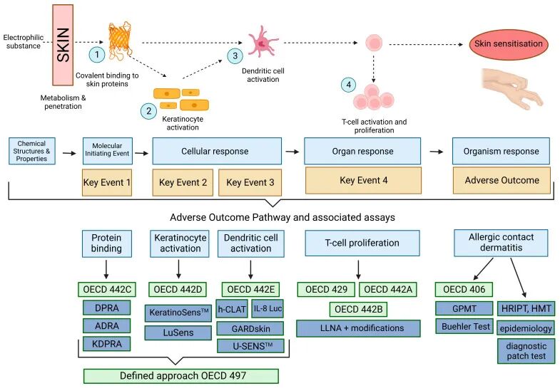 1774939678189924.jpg 10.jpg