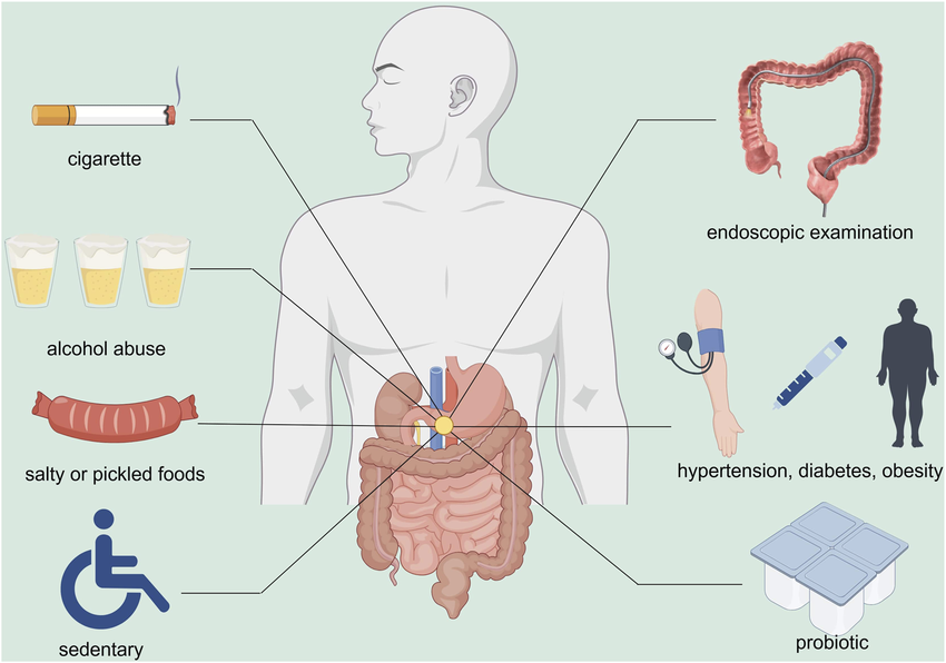 1779412020915693.png Potential-strategies-for-the-management-of-CKD-and-DTT-Current-evidence-suggests-that.png